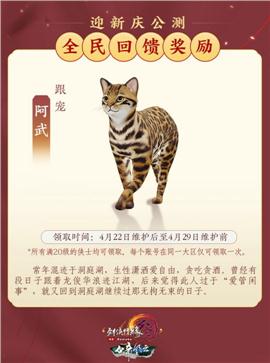天龙八部私服魔防装备